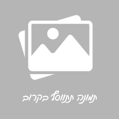 דיו לבטון